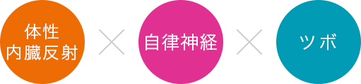 体性内臓反射✕自律神経✕ツボ